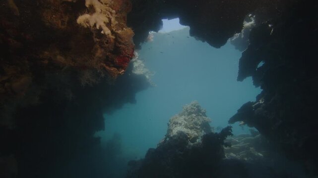 Underwater view of the cave exit in the Misool Archipelago, Raja Ampat, Indonesia