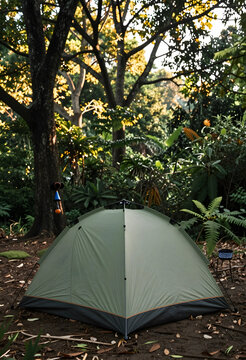 Camping and outdoor adventure, green tent pitched in a lush forest for wilderness travel, nature exploration and sustainable tourism in the woods