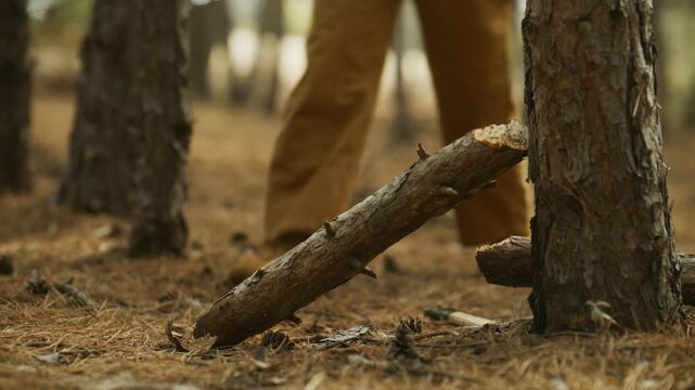 Campers collect firewood and an axe from the forest floor, preparing wood for a campsite fire in a pine forest.