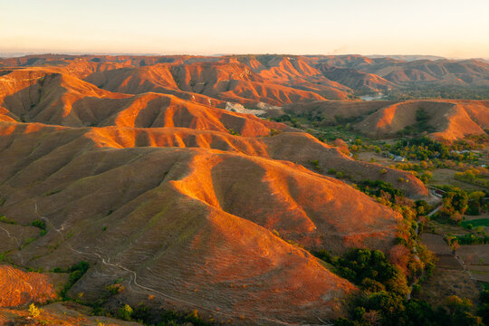 Aerial view of Tanau Hills with rolling golden-brown slopes, sparse vegetation, and a winding dirt path under warm light of the setting sun in Kecamatan Kambera, Nusa Tenggara Timur, Indonesia.