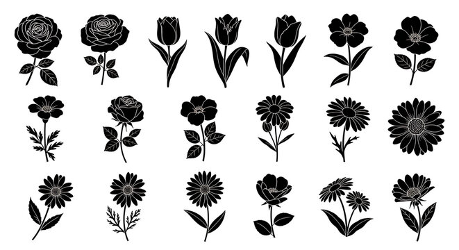 Black and white roses floral arrangement icons