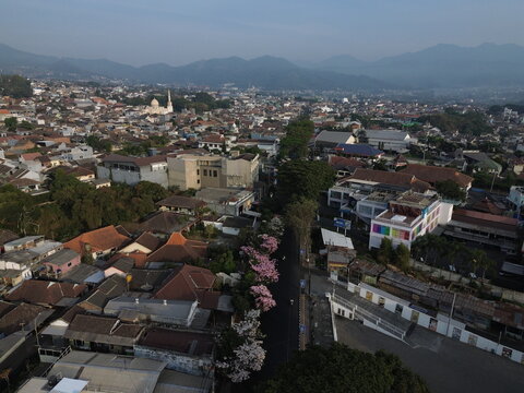 Aerial view of Wisata Tabebuya Pendem with pink flowering trees lining the street, surrounded by dense residential rooftops and a mosque in Junrejo, East Java, Indonesia.