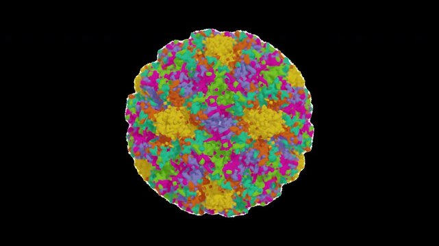 Human Papillomavirus (HPV) Pathogen Seamless Loop with Alpha Channel