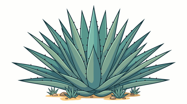 Cartoon blue agave plant, ingredient for tequila production, desert cactus flower with sharp, spiky leaves arranged in a rosette shape. Isolated vector significant in both Mexican culture and cuisine