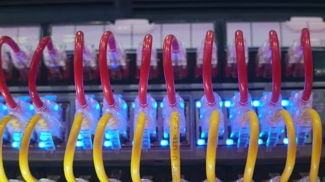 Red and yellow Ethernet cables plugged into network switch ports with blue LEDs
