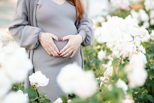 Pregnant woman wearing maternity clothes with rose flowers in garden making heart shape with hands on tummy outdoors close up. Prenatal lifestyle.