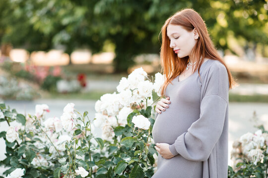 Pregnant woman 25 - 29 year old wearing maternity clothes with rose flowers in garden outdoors. Prenatal lifestyle. Summer season.
