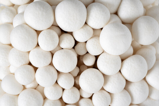 macro top view of white shimeji mushrooms