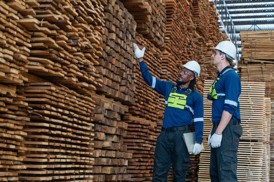 Two lumber warehouse colleagues check inventory with a laptop as one points upward and the other studies stacked timber.