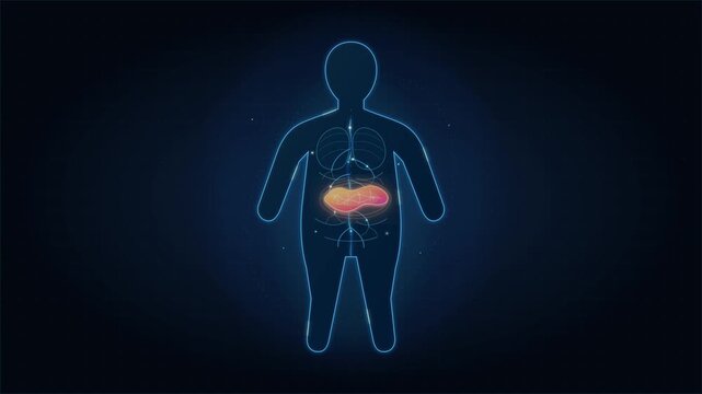 Glowing human body outline highlighting internal liver organ anatomy illustration