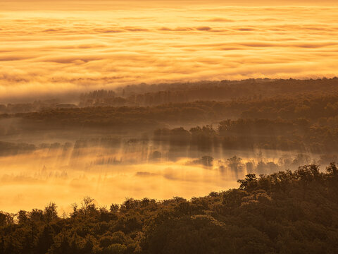 Ausblick &uuml;ber endlose W&auml;lder und Nebelmeer bei Sonnenaufgang im Herbst, Habichtswald, Nordhessen, Hessen, Deutschland