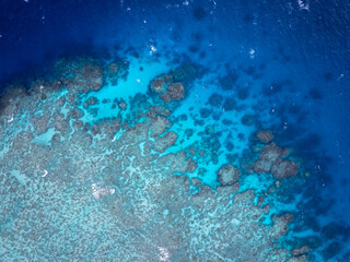 The Great Barrier Reef in the Coral Sea Australia, Norman Reef © Beautiful World