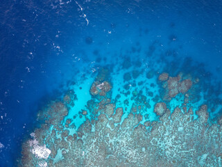 The Great Barrier Reef in the Coral Sea Australia, Norman Reef © Beautiful World
