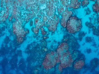 The Great Barrier Reef in the Coral Sea Australia, Norman Reef © Beautiful World