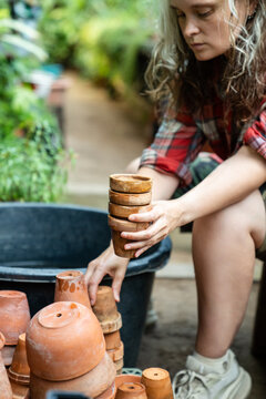 Concentrated woman botanist taking washed ceramic pots after cleaning for plant transplanting, focused female botanist working in greenhouse, collecting holding flowerpots, plant nursery daily work.
