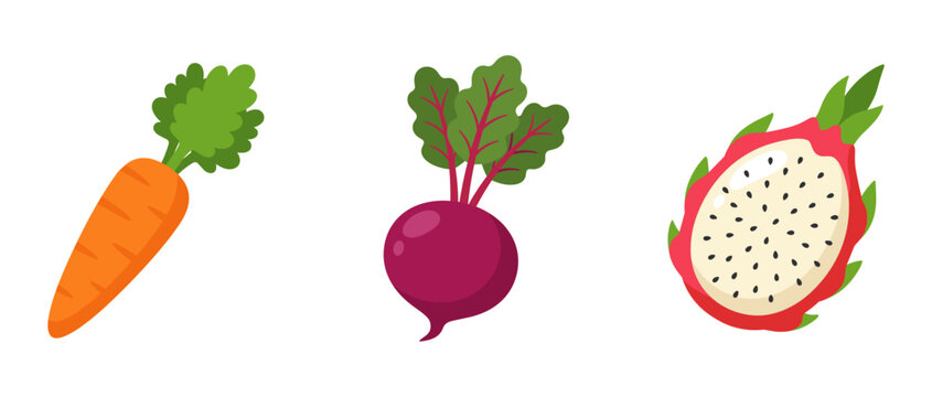 Fresh carrot purple beet and sliced dragon fruit vector set with beetroot vegetable illustration nutrition