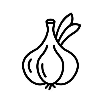 Garlic bulb outline icon for food and cooking.