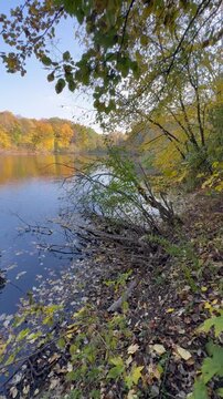 river in autumn