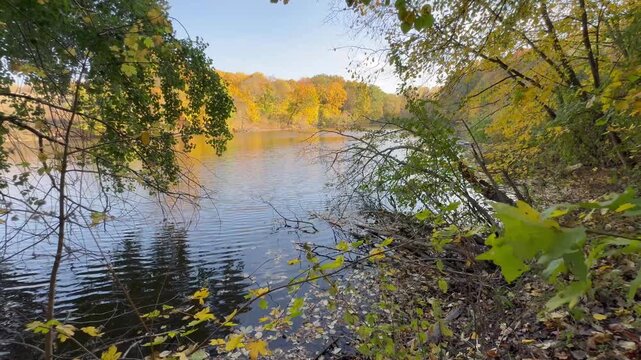autumn in the forest by the lake 