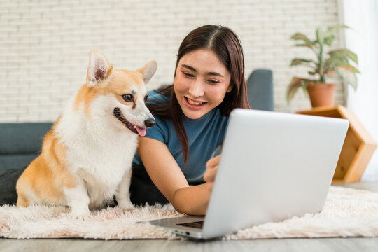 Smiling woman and her corgi sit on a rug at home, watching a laptop together in a cozy living room.