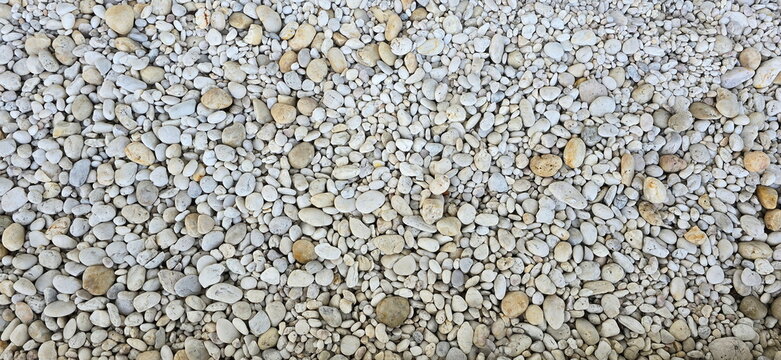 Small white, cream river pebbles (pea gravel), commonly used for garden decoration, paving walkways, rock garden arrangements, or topping potted plants. Gravel is mixture of brown, yellow, gray tones
