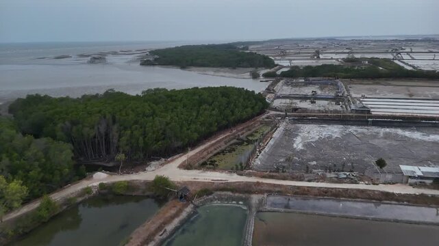 Aerial drone view of coastal mangrove forest, salt ponds, and mudflat bordering the beach