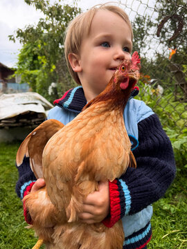 Young child holding a chicken in village