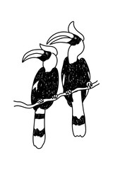 Naklejka premium PNG Toucan bird wildlife doodle illustration, transparent background