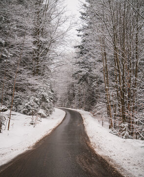Stra&szlig;e im Winterwald