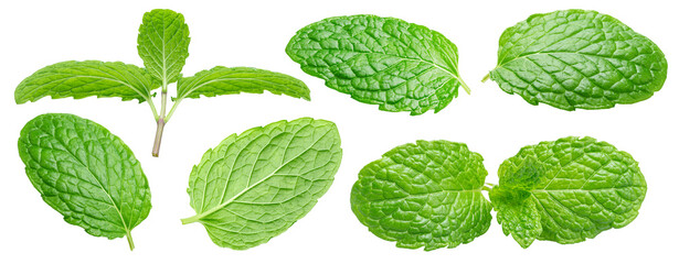 Several garden mint leaves isolated on white background. Clipping path. © volff