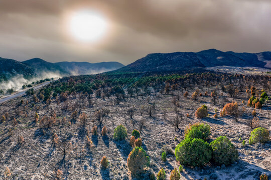 Aerial view of junipers in Utah's West Desert scorched by a wildfire, with charred trees, patches of green vegetation, and a road in the arid landscape in Faust, Utah, United States.