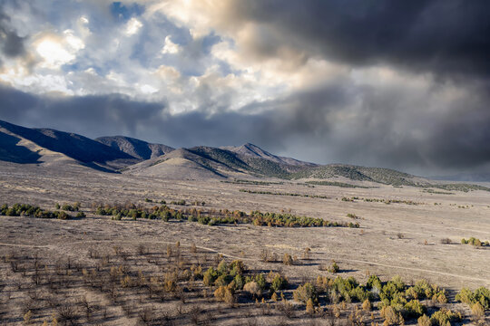 Aerial view of scorched juniper trees in the West Desert landscape under a dramatic cloudy sky in Faust, Utah, United States.