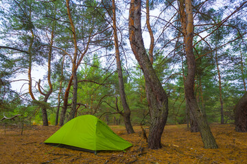 closeup small green touristic tent stay among the forest, outdoor travel scene © Yuriy Kulik
