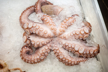 Whole raw fresh octopus with detailed tentacles and suction cups displayed on a bed of crushed ice at a local fish market representing premium mediterranean seafood. © Christos