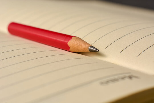 red pencil on open lined notebook pages in close-up with copy space, education and creative writing concept