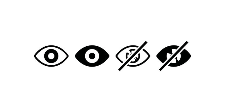 Eye icon showing visibility and invisibility for privacy settings.
