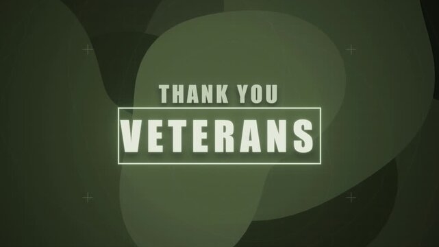 Animated Thank You Veteran Text With White Box Outline On Abstract Dark Green Fluid Blob Shape Background In Seamless Loop For Tactical Military Holiday Greeting Message