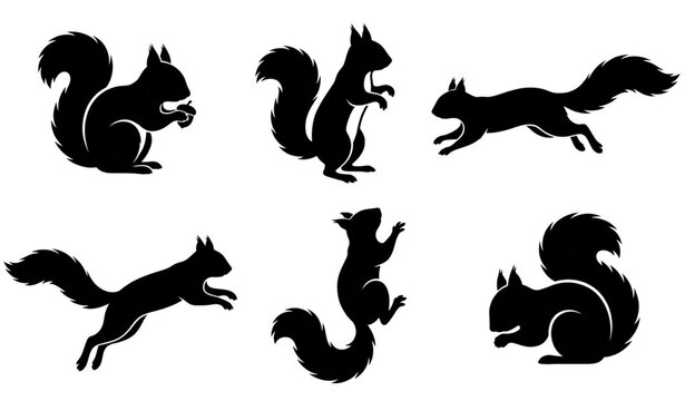 Black Squirrel Silhouette Icon Set with Different Animal Poses Vector Illustration