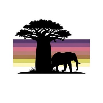 Elephant and baobab tree silhouette on colorful sunset background