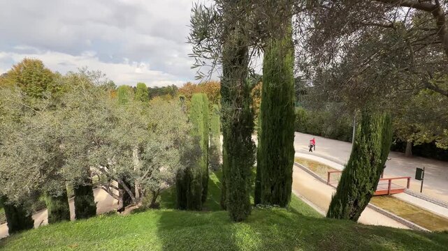 Wide angle static shot of the serene public park featuring tall evergreen cypress trees and lush green lawns under a cloudy autumn sky in Madrid, Spain.