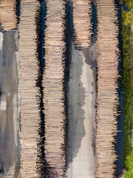 Aerial view of a wood processing facility featuring large organized stacks of timber logs in storage yards in Lauciene Parish, Talsi Municipality, Latvia.