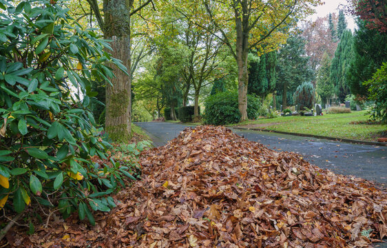 Laub auf einen Haufen gefegt im Park auf Friedhof auf dem Weg liegend