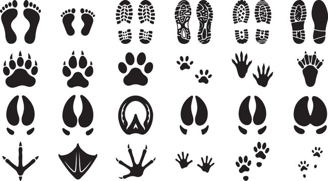 Collection of animal footprints and human shoe tracks in black silhouette with paw prints