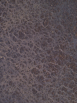 Aerial view of cracked asphalt surface in Virpe, Ventspils novads, Latvia.