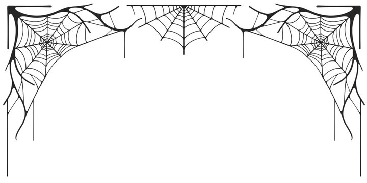 Spider web vector illustration