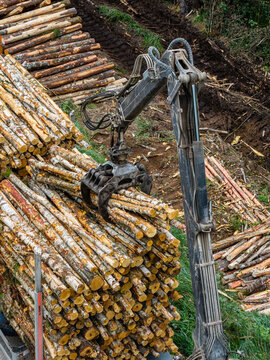 Aerial view of a log loader machine gripping a stack of harvested timber in a forest clearing, with piles of logs and tire tracks visible on the ground in Latvia.