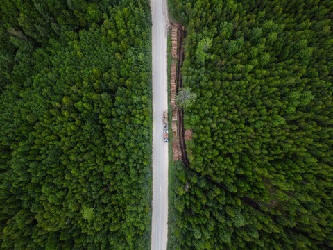 Aerial view of a logging truck loading cut timber logs onto its trailer at a forest logging site with stacks of logs along a forest road surrounded by dense woodland, Latvia.