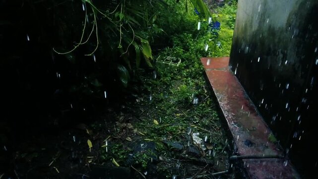 Monsoon rain pouring down in lush tropical backyard garden next to wet concrete ledge