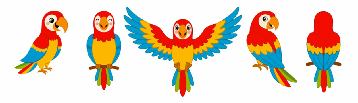 Colorful macaw parrot set in different poses and views: front, side and back view with spread wings. Cartoon vector illustration isolated on white background.