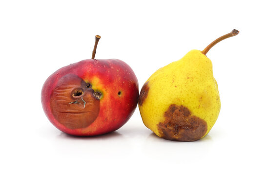 Rotten red apple and yellow pear side by side.